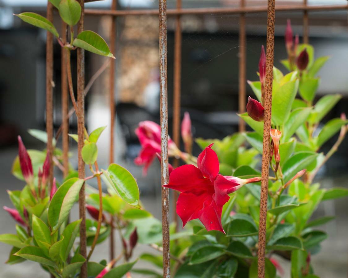 Grundfor Bed And Breakfast エクステリア 写真